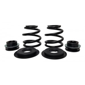 Rear Coilover Spring Upgrade Kit for MK1 Audi TT Quattro & 2004 VW R32 - EC-VW005-RU Rear Coilover Spring Upgrade Kit for MK1 Audi TT Quattro & 2004 VW R32 - EC-VW005-RU